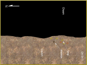 Dwarf Home Level 5H1, 225 x 300